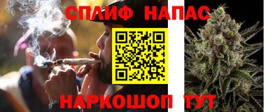 гидропоника Можайск