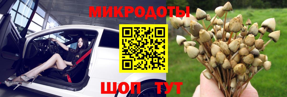Псилоцибиновые грибы Psilocybine cubensis  Вход с VPN  Галлюциногенные грибы GOLDEN TEACHER  Великие Луки 