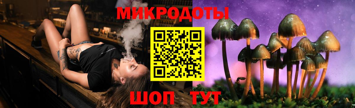 Галлюциногенные грибы Psilocybine cubensis Великие Луки